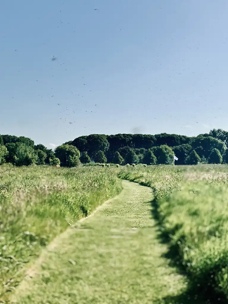 de dijk proefpolder